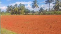  Agricultural Land for Sale in Kanakapura Road, Bangalore