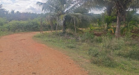 Agricultural Land for Sale in Mysore Road, Bangalore
