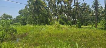  Agricultural Land for Sale in Agashi Road, Virar West, Mumbai