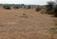  Residential Plot for Sale in Nakshatrawadi, Aurangabad