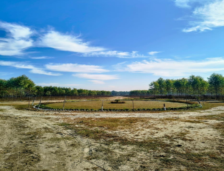  5000 Sq. Yards Farm House for Sale in Behat, Saharanpur