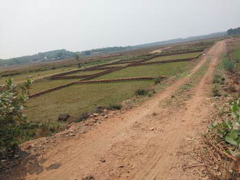  Residential Plot for Sale in Nuapatna, Cuttack