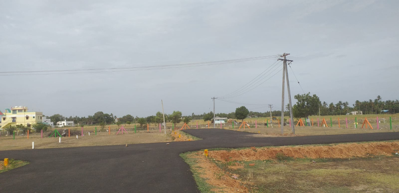  Residential Plot 1200 Sq.ft. for Sale in Adavathur East, Tiruchirappalli