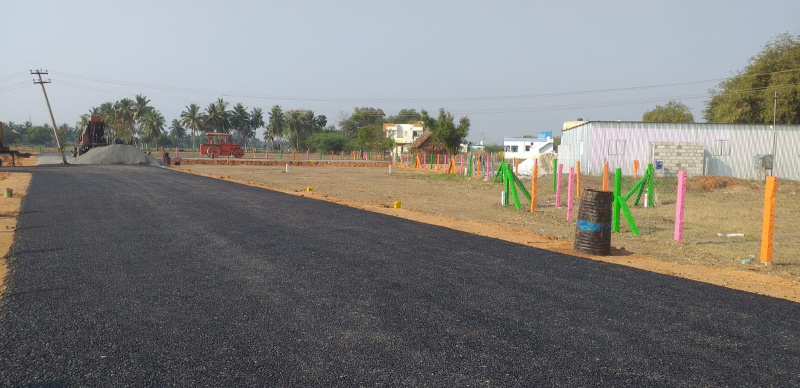  Residential Plot 1200 Sq.ft. for Sale in Adavathur East, Tiruchirappalli