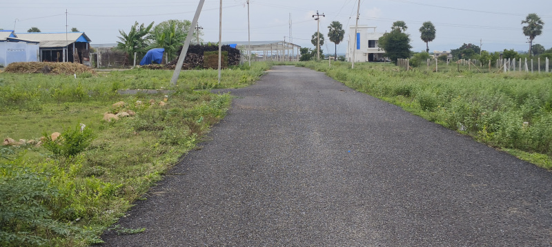  Residential Plot 1700 Sq.ft. for Sale in Samayapuram, Tiruchirappalli