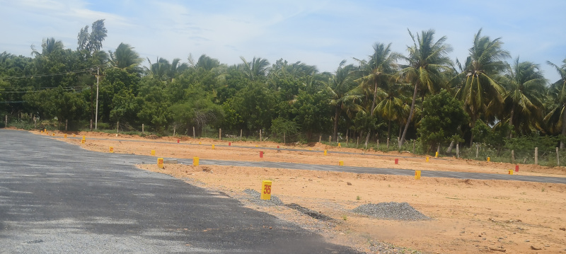  Residential Plot 1000 Sq.ft. for Sale in Samayapuram, Tiruchirappalli