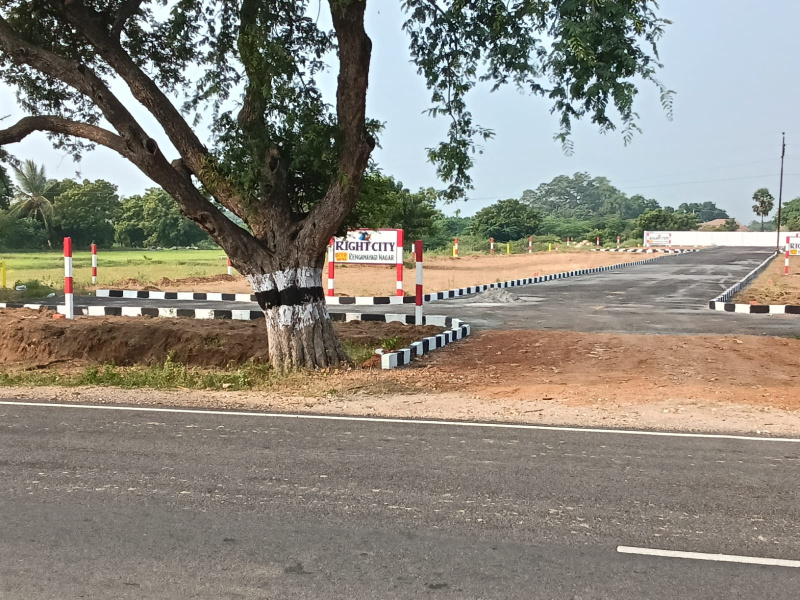  1200 Sq.ft. Residential Plot for Sale in Thiruvellarai, Tiruchirappalli