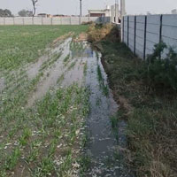  Agricultural Land for Sale in Sector 29 Bahadurgarh