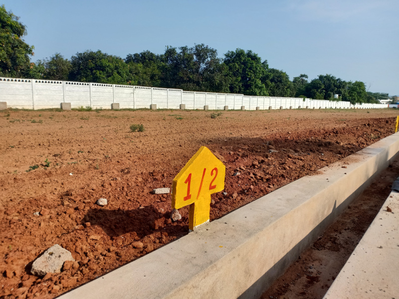  Residential Plot 200 Sq. Yards for Sale in Tagarapuvalasa, Visakhapatnam