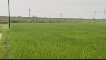 1 RK Farm House for Sale in Ratapur, RaeBareli