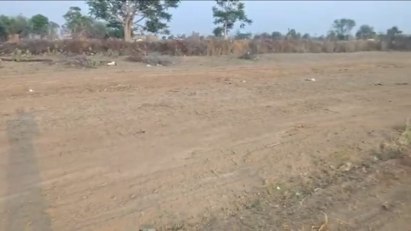  Agricultural Land 591 Sq. Yards for Sale in Chaksu, Jaipur