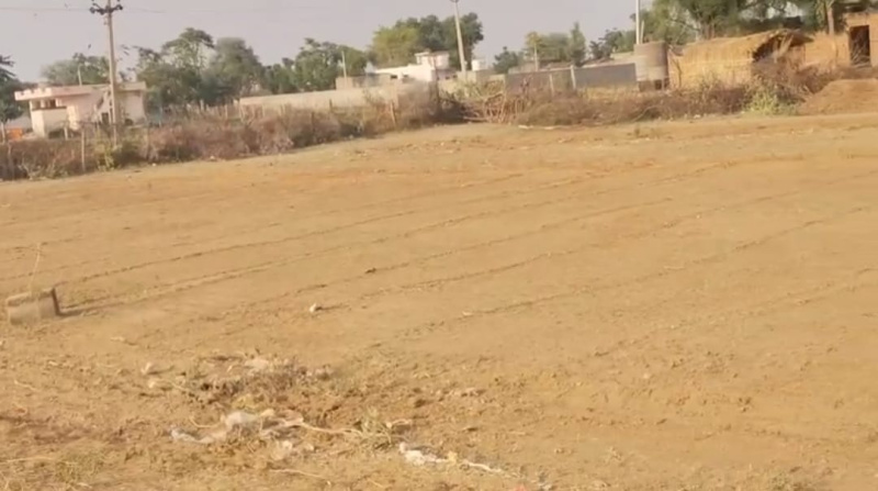  Agricultural Land 591 Sq. Yards for Sale in Chaksu, Jaipur