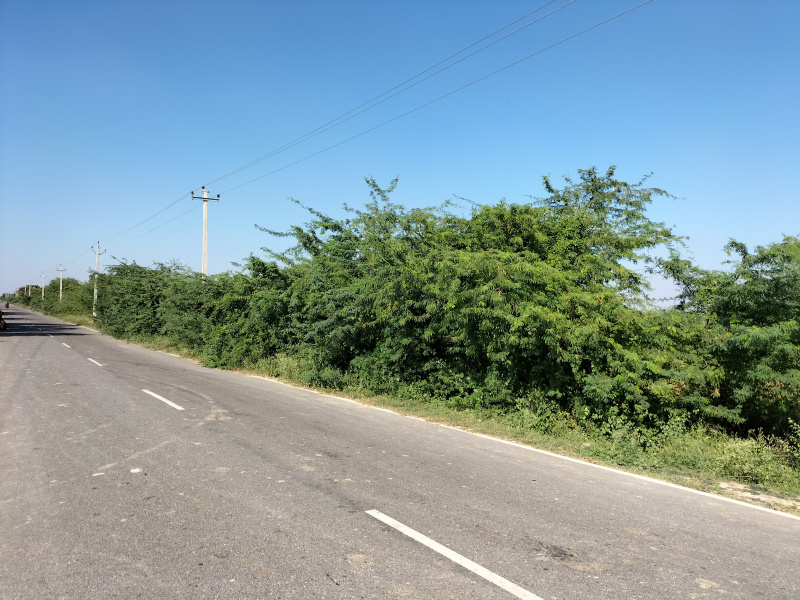  Agricultural Land 50 Acre for Sale in Civil Lines, Budaun