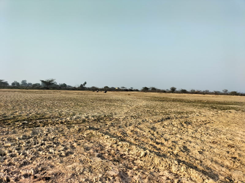  Agricultural Land 85 Acre for Sale in Harinagar Ashram, Delhi