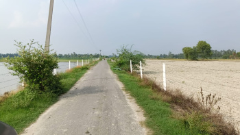  Agricultural Land for Sale in Civil Lines, Budaun