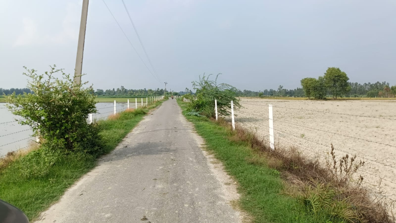  Agricultural Land 77 Acre for Sale in Civil Lines, Budaun