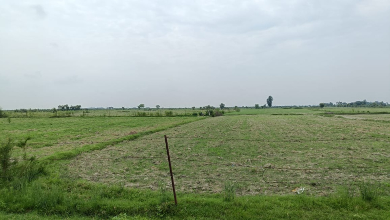  Agricultural Land 500 Acre for Sale in Civil Lines, Budaun