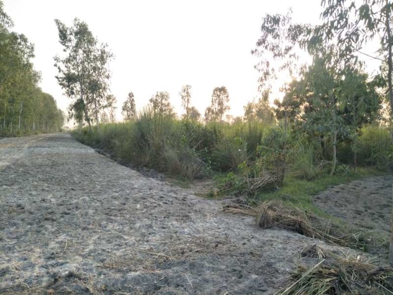  Agricultural Land 500 Acre for Sale in Civil Lines, Budaun