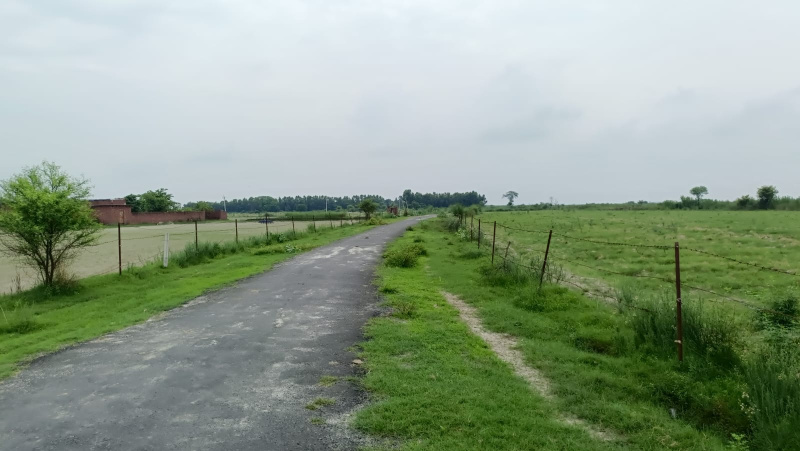  Agricultural Land 77 Acre for Sale in Bankner, Delhi