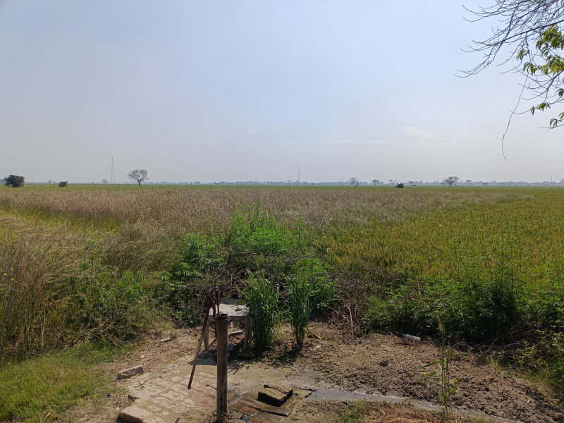 Agricultural Land 90 Acre for Sale in Bajaj Enclave, Dwarka, Delhi