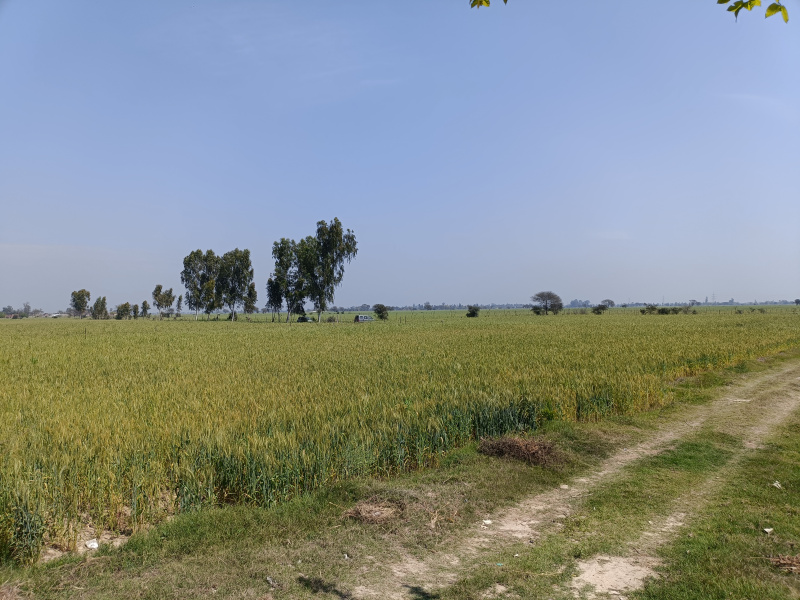  Agricultural Land 90 Acre for Sale in Bajaj Enclave, Dwarka, Delhi