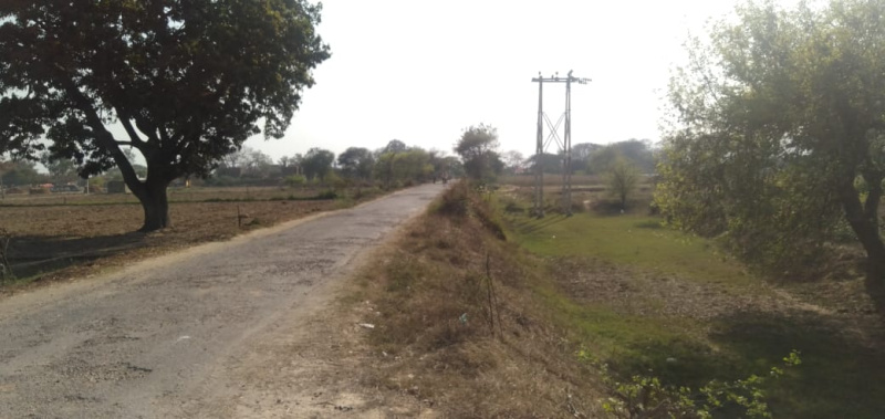  Agricultural Land 500 Acre for Sale in Kamalpur, Sitapur