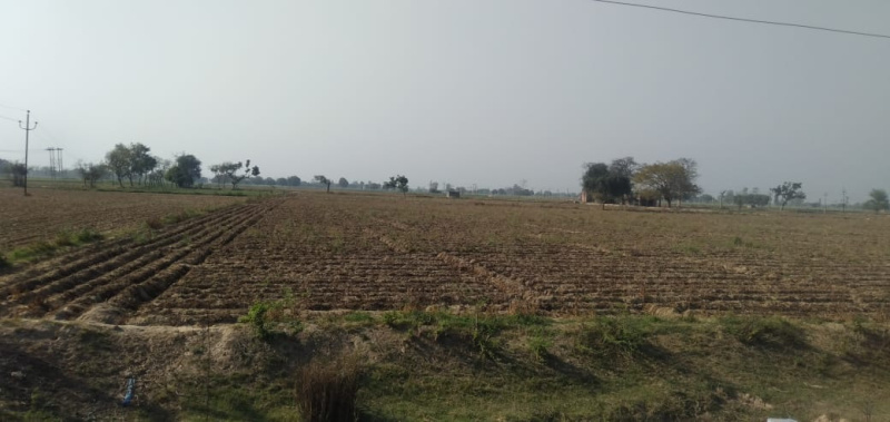  Agricultural Land 500 Acre for Sale in Kamalpur, Sitapur