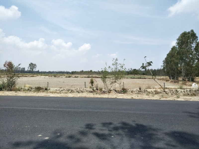  Agricultural Land 200 Acre for Sale in Ashoka Enclave, Paschim Vihar, Delhi