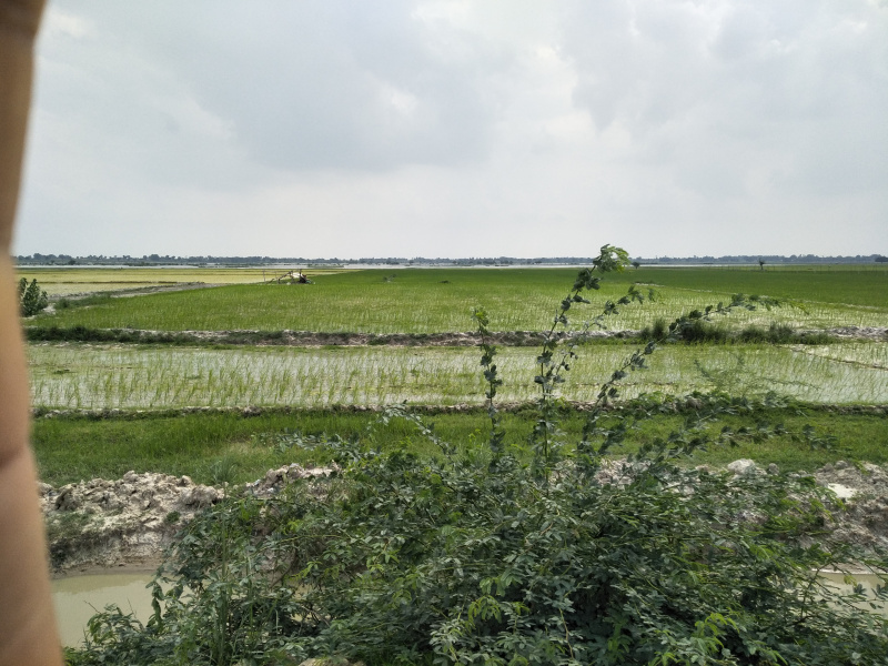 50 Acre Agricultural/Farm Land for Sale in Agar Nagar, Ludhiana