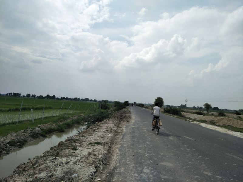 50 Acre Agricultural/Farm Land for Sale in Agar Nagar, Ludhiana