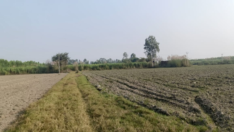  65 Acre Agricultural/Farm Land for Sale in Kachhla, Budaun