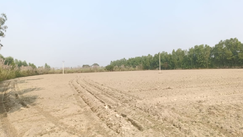  65 Acre Agricultural/Farm Land for Sale in Kachhla, Budaun