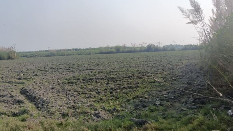  40 Acre Agricultural/Farm Land for Sale in Chandigarh Delhi Highway