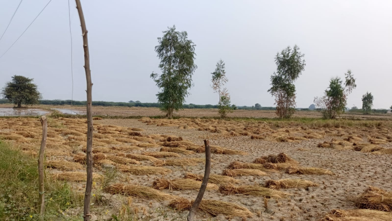  40 Acre Agricultural/Farm Land for Sale in Chandigarh Delhi Highway