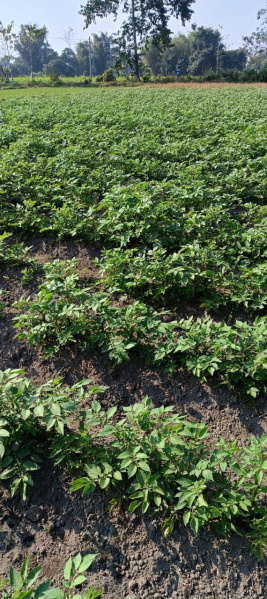 Barakhamba Road, Connaught Place, Delhi