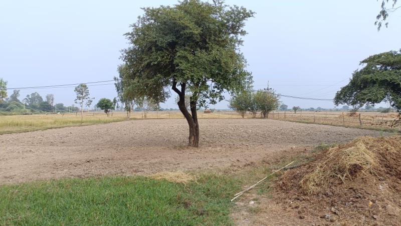 Additional image 2 of Barakhamba Road, Connaught Place, Delhi
