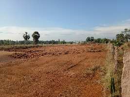  Commercial Land for Rent in Alangulam, Tirunelveli
