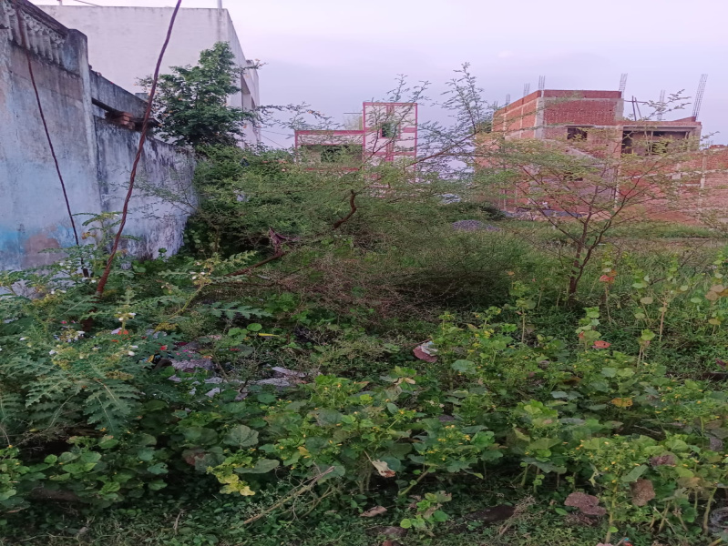  Residential Plot 4070 Sq.ft. for Sale in Sirgiti, Bilaspur