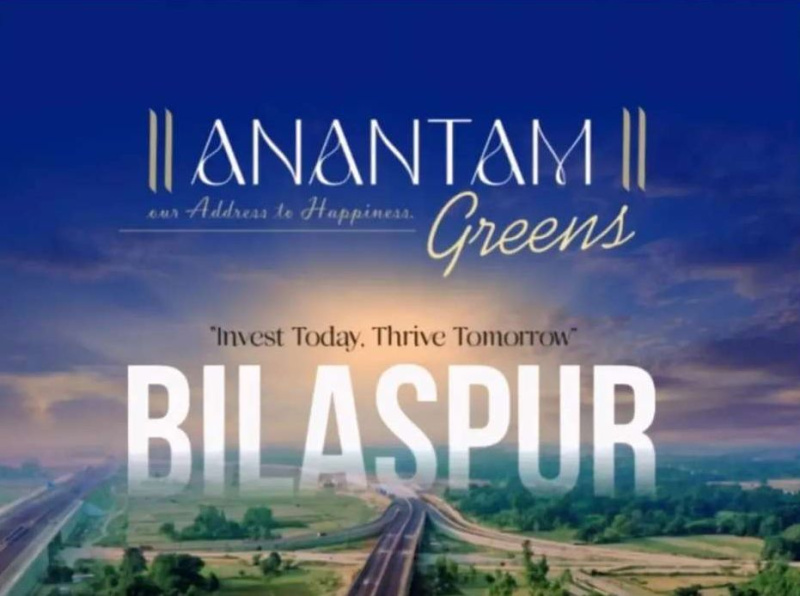  Residential Plot 1250 Sq.ft. for Sale in Masturi, Bilaspur
