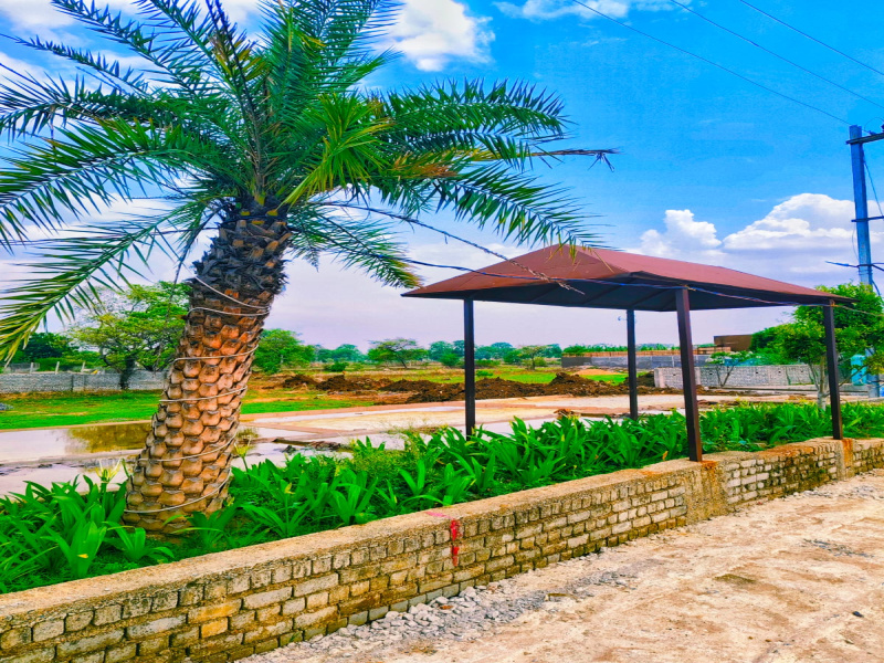  Residential Plot 1250 Sq.ft. for Sale in Masturi, Bilaspur