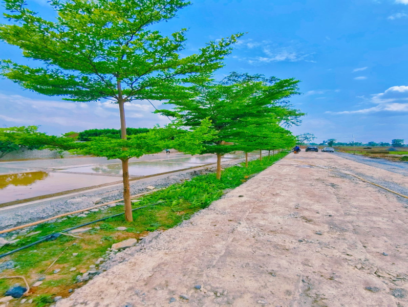 Residential Plot 1375 Sq.ft. for Sale in Masturi, Bilaspur