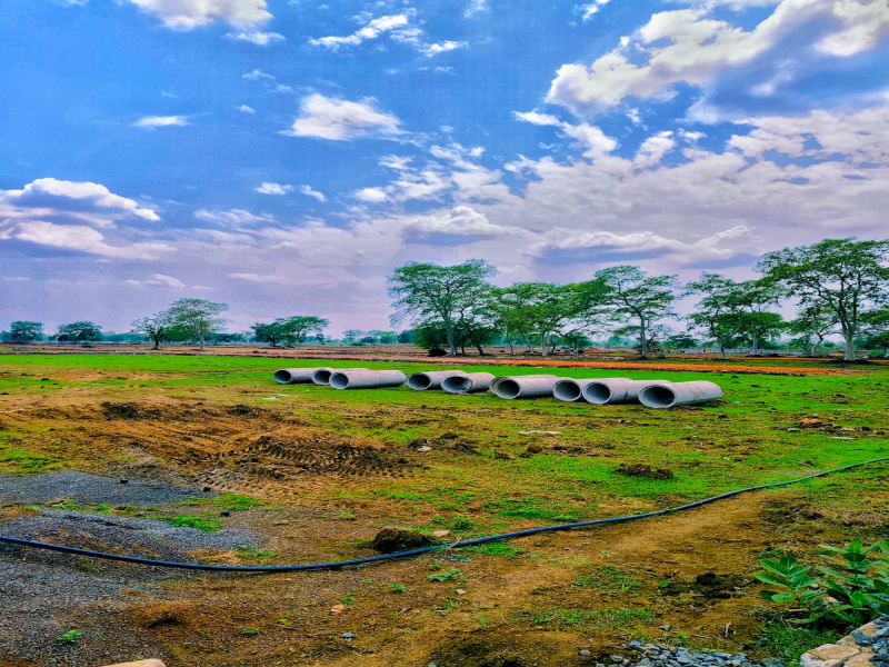  Residential Plot 1375 Sq.ft. for Sale in Masturi, Bilaspur