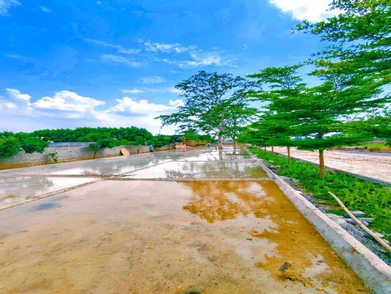  Residential Plot 1800 Sq.ft. for Sale in Masturi, Bilaspur
