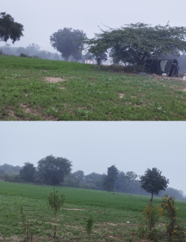  Agricultural Land for Sale in Khajuraho, Chhatarpur