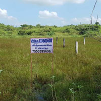  Commercial Land for Sale in Ayyampettai, Thanjavur