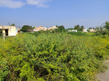  Residential Plot for Sale in Walajapet, Vellore