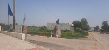  Residential Plot for Sale in Tappal, Aligarh