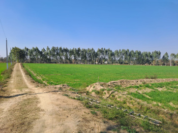  Agricultural Land for Sale in Dasuya Road, Hoshiarpur
