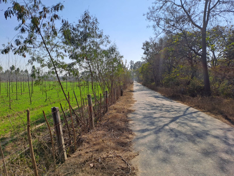 Agricultural Land 36 Acre for Sale in Shamchaurasi, Hoshiarpur