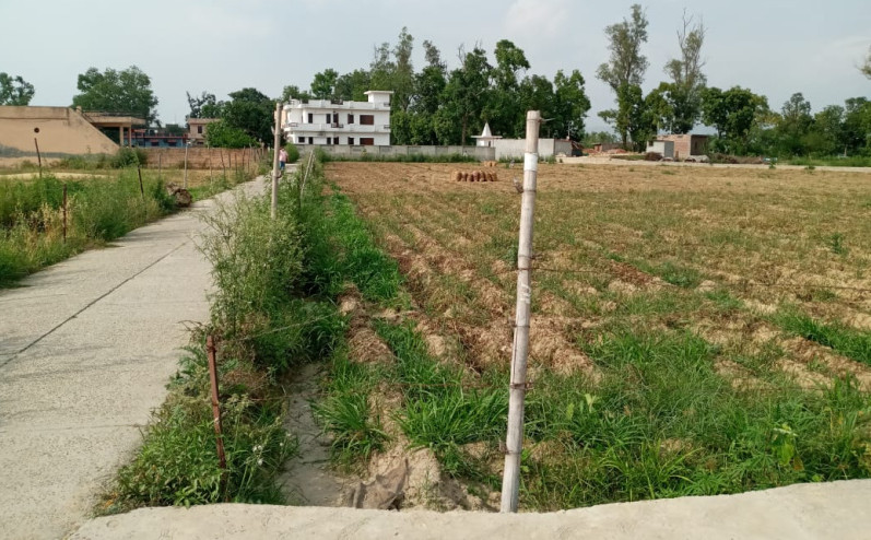  Residential Plot 280 Marla for Sale in Bhadsali, Una